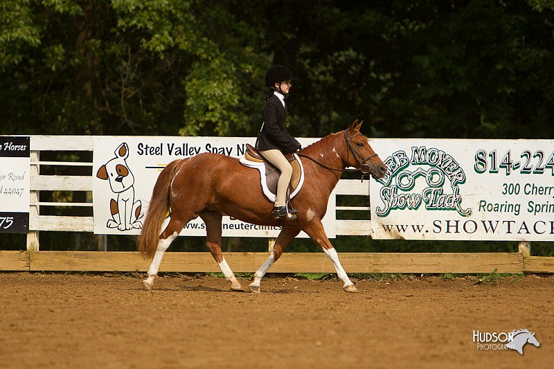 4H-Districts-11_1674.jpg