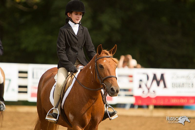 4H-Districts-11_1676.jpg