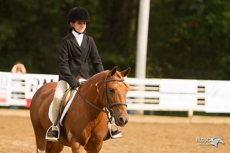 4H-Districts-11_1677.jpg
