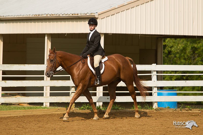 4H-Districts-11_1681.jpg