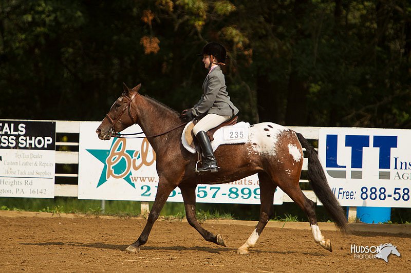 4H-Districts-11_1682.jpg