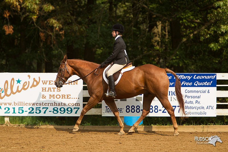 4H-Districts-11_1686.jpg