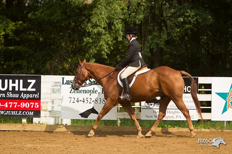 4H-Districts-11_1687.jpg