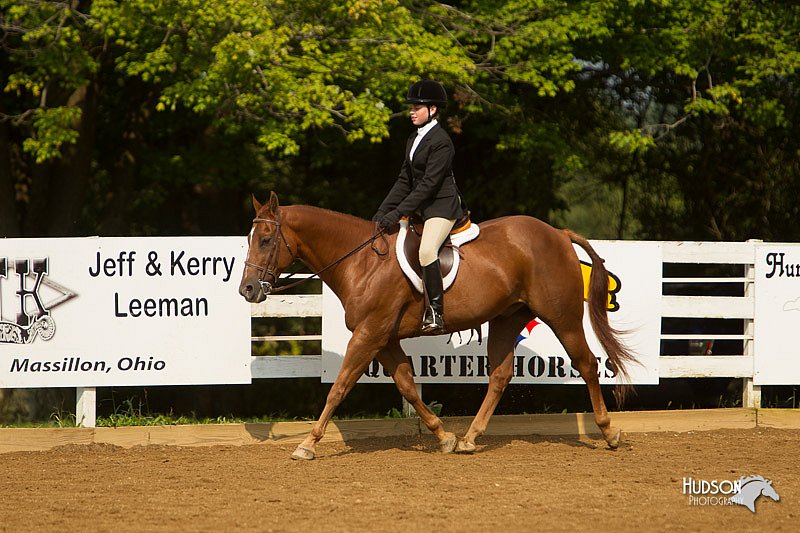 4H-Districts-11_1689.jpg