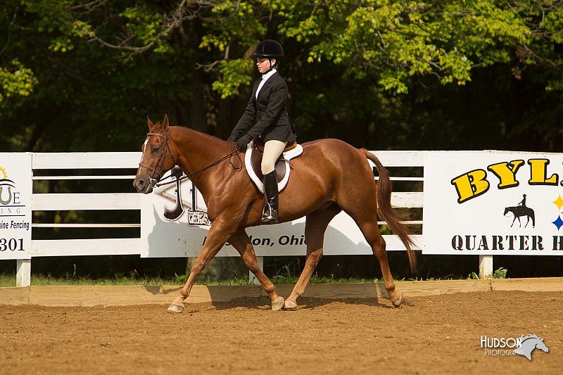 4H-Districts-11_1690.jpg