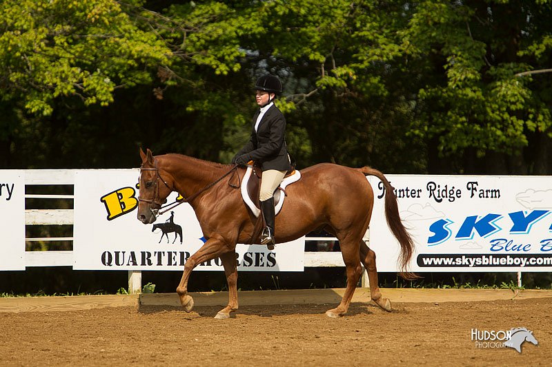4H-Districts-11_1692.jpg