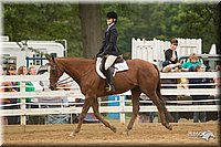 4H-Districts-11_1398.jpg