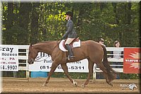 4H-Districts-11_1410.jpg