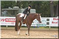 4H-Districts-11_1428.jpg