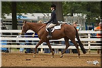 4H-Districts-11_1503.jpg