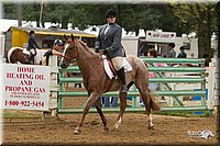 4H-Districts-11_1504.jpg