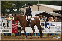 4H-Districts-11_1505.jpg