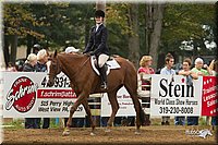 4H-Districts-11_1506.jpg