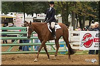 4H-Districts-11_1507.jpg