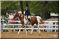 4H-Districts-11_1508.jpg