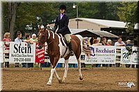 4H-Districts-11_1509.jpg