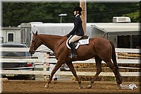 4H-Districts-11_1511.jpg