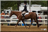 4H-Districts-11_1513.jpg