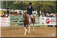 4H-Districts-11_1516.jpg