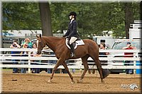 4H-Districts-11_1518.jpg