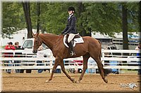 4H-Districts-11_1519.jpg