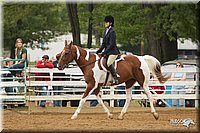4H-Districts-11_1523.jpg