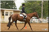 4H-Districts-11_1528.jpg