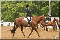 4H-Districts-11_1529.jpg