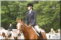 4H-Districts-11_1531.jpg