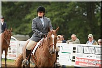 4H-Districts-11_1557.jpg