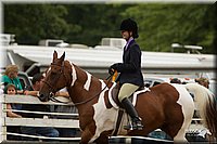 4H-Districts-11_1560.jpg
