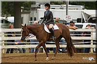 4H-Districts-11_1567.jpg