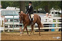 4H-Districts-11_1570.jpg