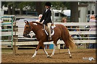 4H-Districts-11_1571.jpg