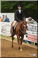 4H-Districts-11_1576.jpg