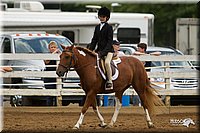 4H-Districts-11_1578.jpg