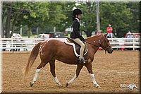 4H-Districts-11_1580.jpg