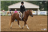 4H-Districts-11_1581.jpg