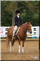 4H-Districts-11_1586.jpg