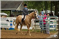 4H-Districts-11_1649.jpg