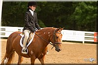 4H-Districts-11_1678.jpg