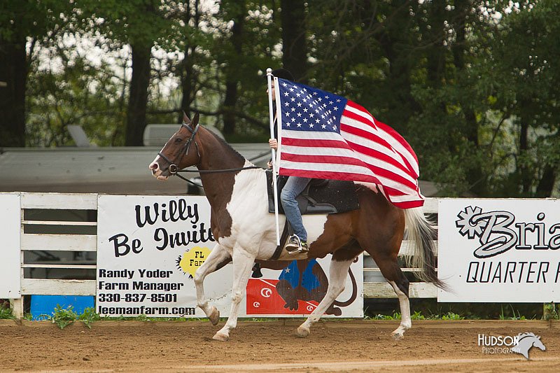 4H-Districts-11_1247.jpg