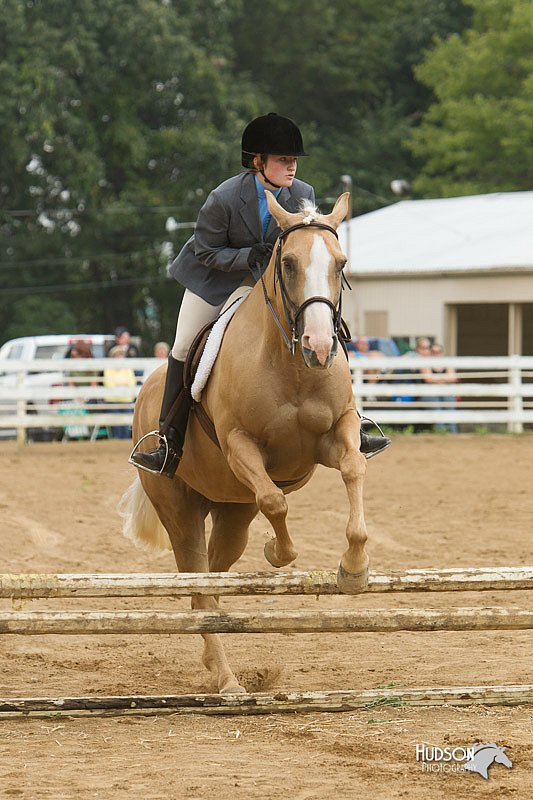 4H-Districts-11_1440.jpg