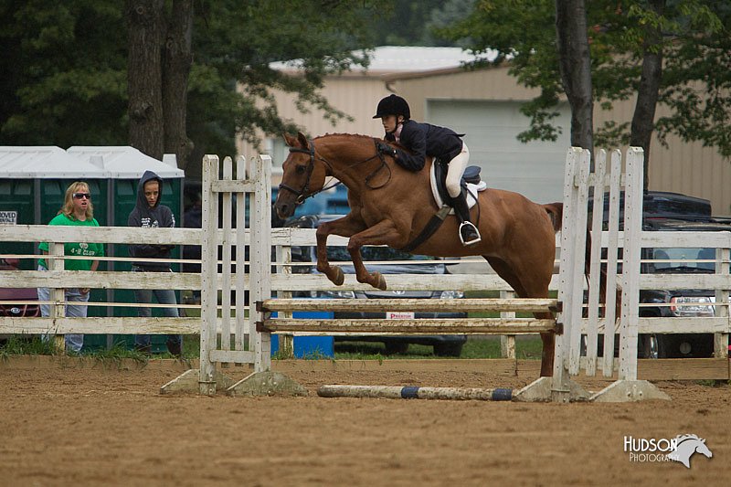4H-Districts-11_1453.jpg