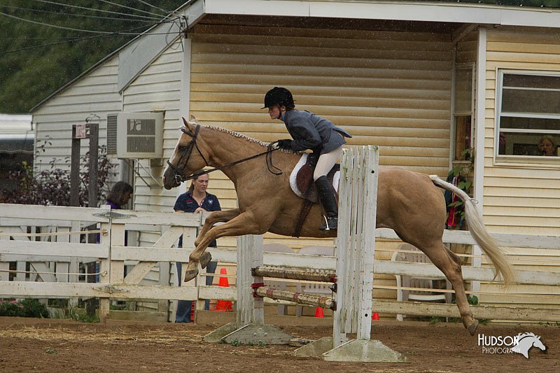 4H-Districts-11_1455.jpg