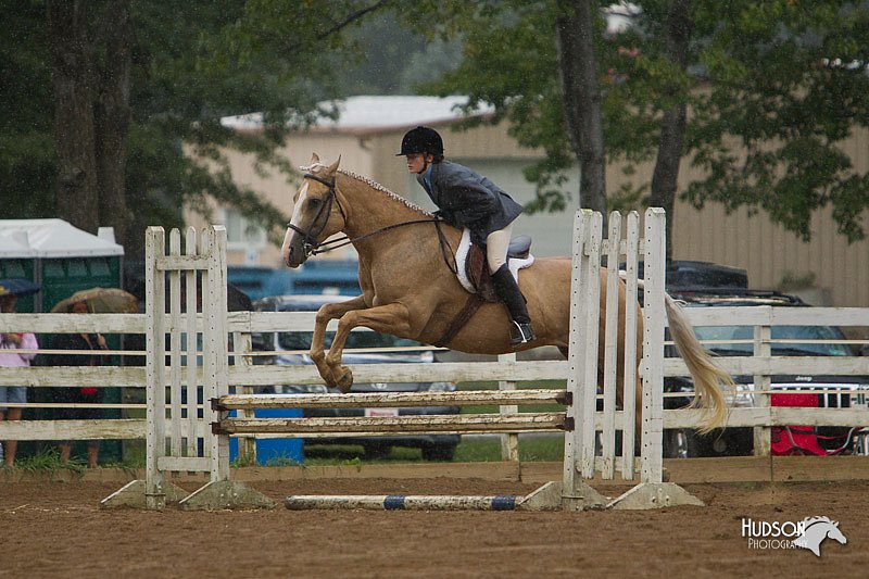 4H-Districts-11_1456.jpg