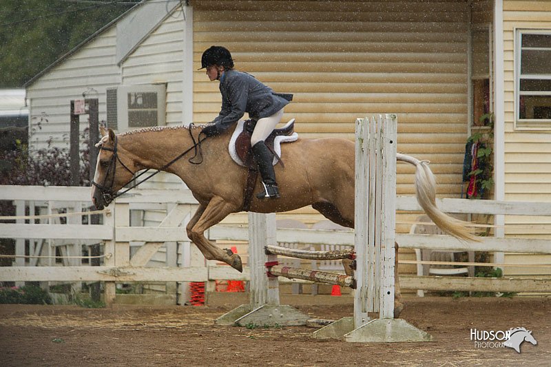 4H-Districts-11_1457.jpg