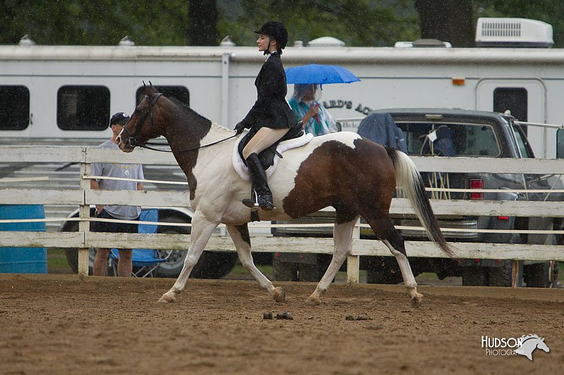 4H-Districts-11_1458.jpg