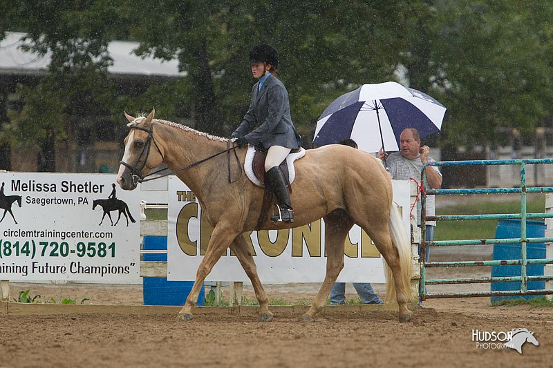 4H-Districts-11_1461.jpg