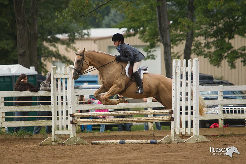 4H-Districts-11_1467.jpg